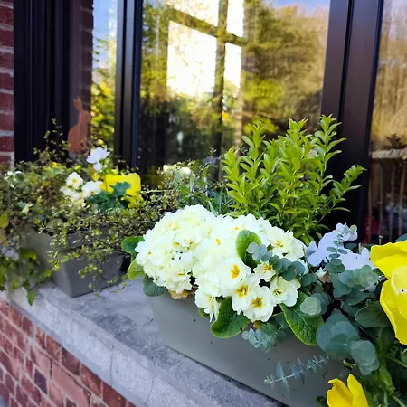 Prázdninový dům Le De Cassandre *