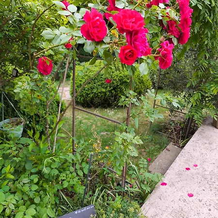 Prázdninový dům Le De Cassandre Sebourg