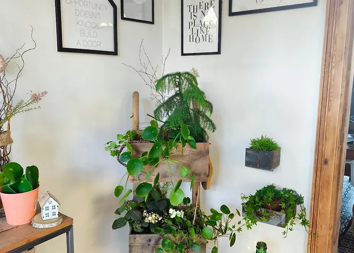 Hébergement de vacances Le De Cassandre Sebourg